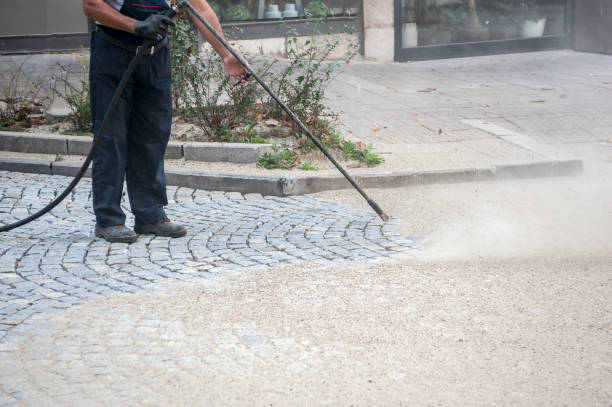 Best Dumpster Area Cleaning  in Murrieta, CA